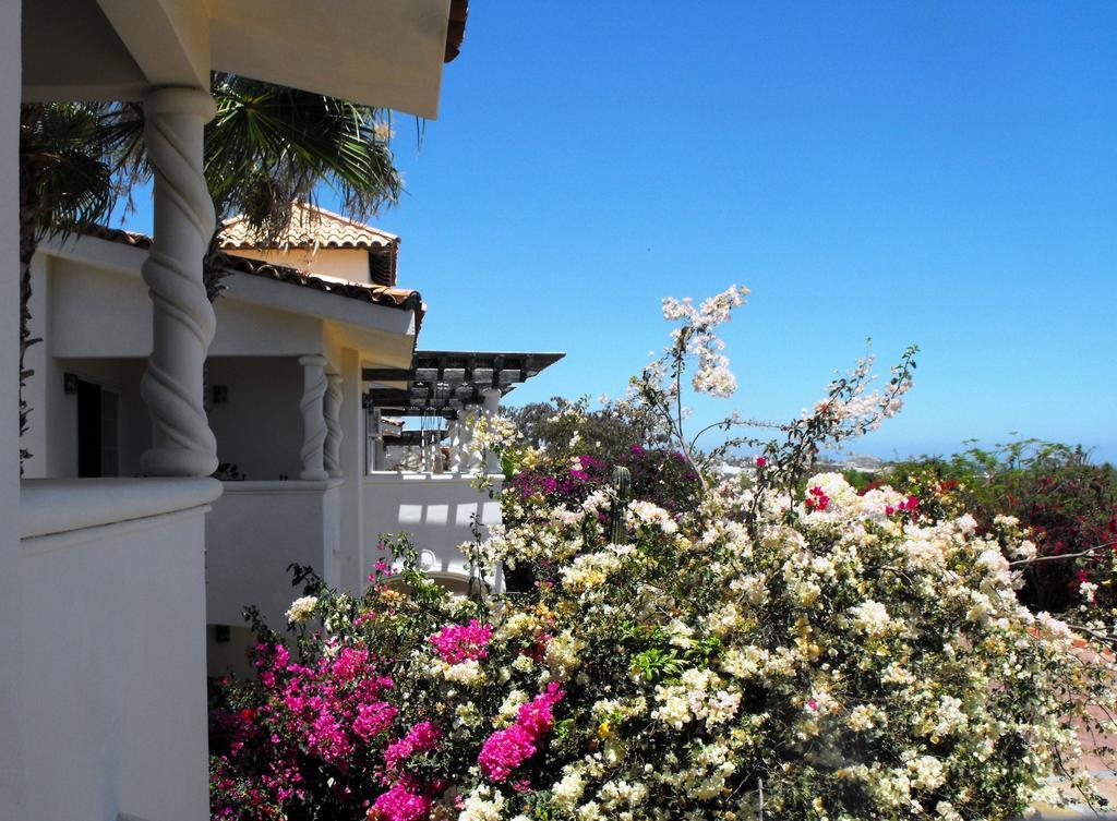 فندق كابو سان لوكاسفي  لوس كابوس جولف ريزورت المظهر الخارجي الصورة